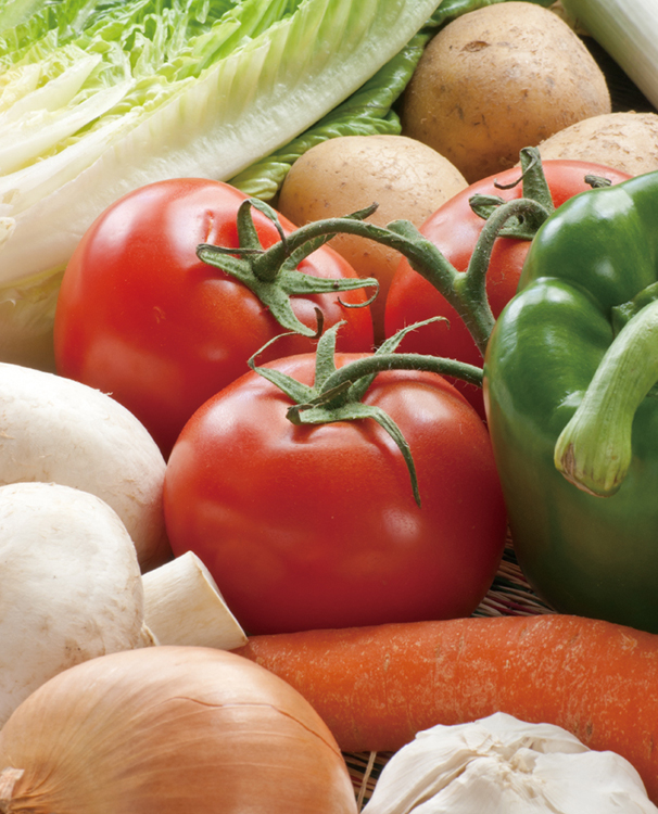 花れんこんの母体の八百屋の野菜